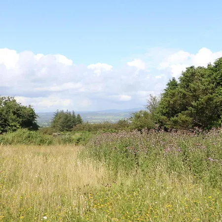 Holiday home 8 An Seanachai Holiday Homes Dungarvan (Waterford)
